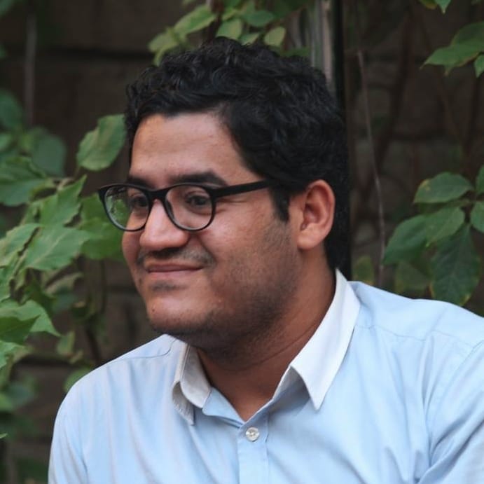 الفنان وارث كويش